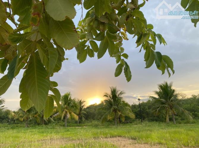 BIỆT THỰ 3 TẦNG VIEW SÔNG TẮC – NỘI THẤT ĐẲNG CẤP – NGHỈ DƯỠNG LÝ TƯỞNG NGAY NHA TRANG - 4