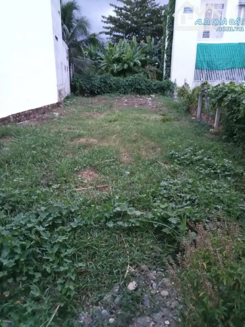 Đất Vĩnh Ngọc gần Kdt Vĩnh Điềm Trung cách đường chính Phú Nông chỉ 200m - 4