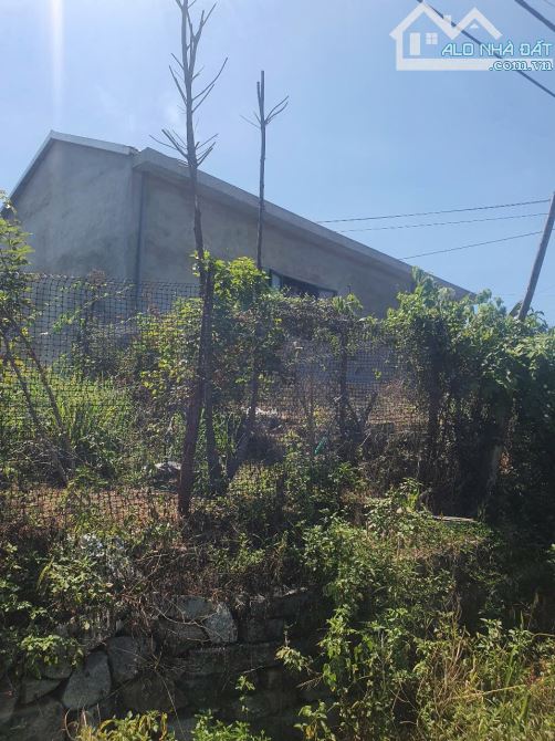 🏡 BÁN GẤP LÔ ĐẤT MẶT TIỀN ĐƯỜNG PHÙNG QUÁNG – PHƯỜNG THỦY DƯƠNG, HƯƠNG THỦY, TP. HUẾ - 4