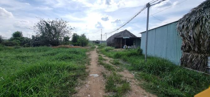 Bà Điểm(XTT-HM) bán 2.462m2 ngang 50m gần đường Dương Công Khi giá 6,4tỷ - 4