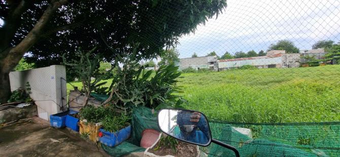 Bà Điểm(XTT-HM) bán 2.227m2 phủ hồng ngang 30m cách đường Phan Văn Hớn chỉ 350m giá 11,5tỷ - 4