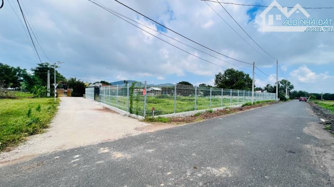 1400m2 ngang 50m thị trấn Phước Hải. cách biển 5km - 5