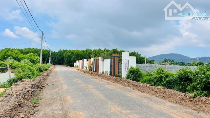 2 lô liền kề 253m2-80tc gần biển Phước Hải. chỉ 1 tỷ 600/ lô - 5
