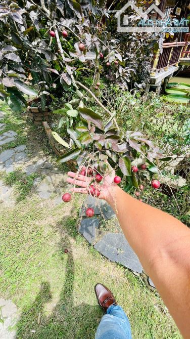 KHU NHÀ VƯỜN NGHỈ DƯỠNG RẤT ĐẸP TẠI MỸ KHÁNH CẦN THƠ - 5