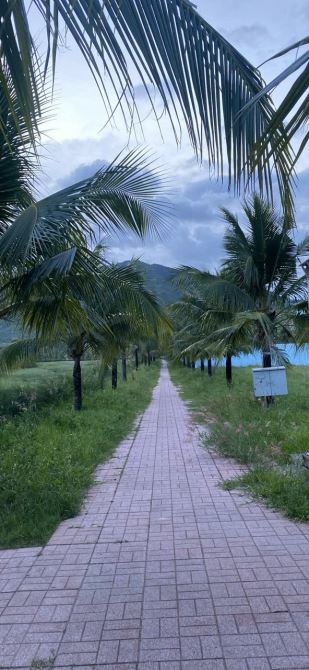 BIỆT THỰ 3 TẦNG VIEW SÔNG TẮC – NỘI THẤT ĐẲNG CẤP – NGHỈ DƯỠNG LÝ TƯỞNG NGAY NHA TRANG - 5