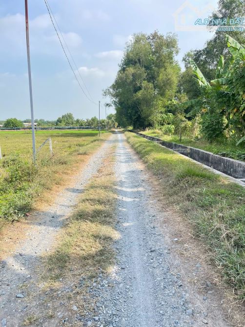 Cần bán đất mặt tiền đường Nguyễn Thị Rành xã Tân An Hội Củ Chi 10x40 385m2 thổ cư 302m2 - 6