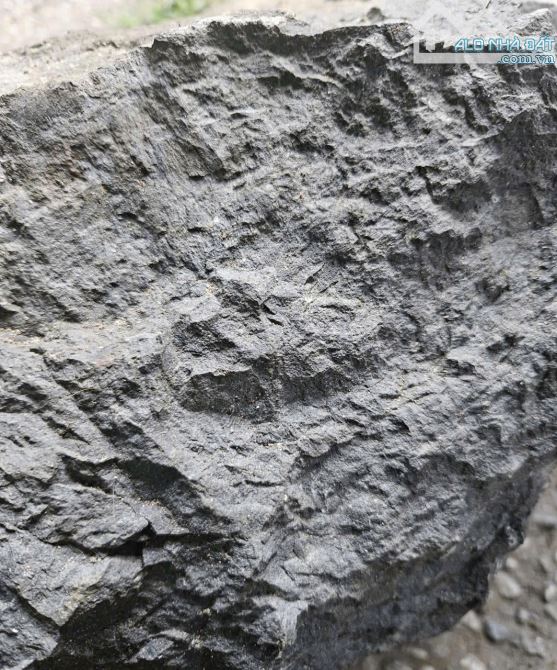 Cần bán 3.2 Ha, đất đồi đá BAZAN  mặt tiền đường - Xuân Lộc ĐN - 6