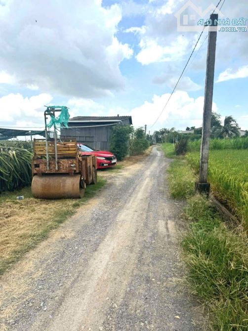 Quá rẻ, 150m2 đất thổ cư, 5 x30m, View kênh cực đẹp, 420tr - 6