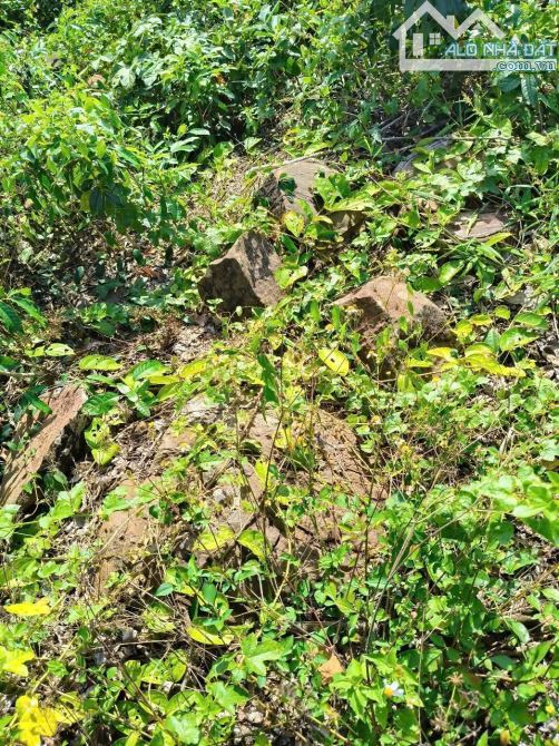 Cần bán 3.2 Ha, đất đồi đá BAZAN  mặt tiền đường - Xuân Lộc ĐN - 7