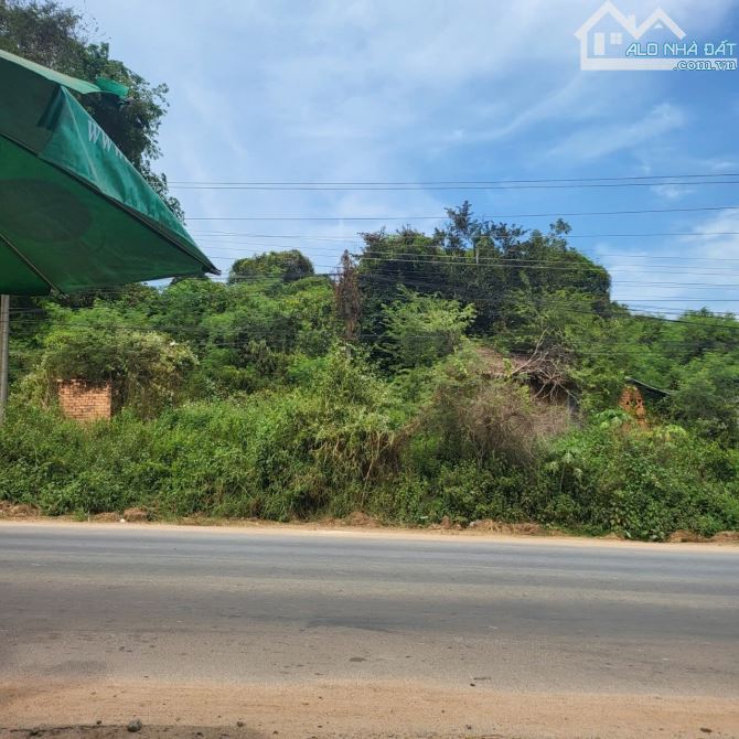 Cần bán 3.2 Ha, đất đồi đá BAZAN  mặt tiền đường - Xuân Lộc ĐN - 8