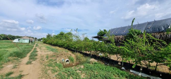 Bà Điểm(XTT-HM) bán 2.462m2 ngang 50m gần đường Dương Công Khi giá 6,4tỷ - 8