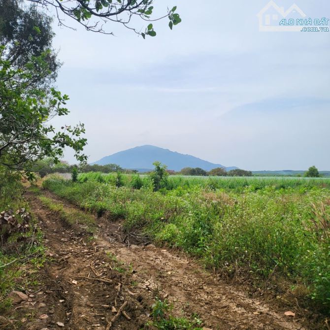 Cần bán 3.2 Ha, đất đồi đá BAZAN  mặt tiền đường - Xuân Lộc ĐN - 9