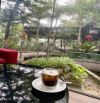 Chuyển nhượng nhà đất Đường tỉnh 311,thị trấn Hạ Hòa,Phú Thọ, hơn 1000m2 chỉ 9,7 tỷ