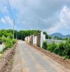 1116m2 sẵn 100thổ cư gần biển Phước Hải - BRVT