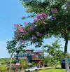 🏡 LÀNG ÔM – ĐẤT ĐẸP, GIÁ TỐT, SỔ RIÊNG TẠI BẢO LỘC 🏡