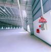 Cho Thuê Nhà Xưởng Sản Xuất khuôn viên sử dụng độc lập gần 1Ha KCN - ĐỒNG NAI.
