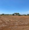 Cần bán 33.065m2 đất 2 mặt tiền hiếm hoi, sẵn 300m2 thổ cư, phủ hồng, giá đầu tư