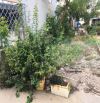 LÔ ĐẤT VUÔNG VỨC 5x20 KIỆT MAI ĐĂNG CHƠN ĐOẠN ĐỐI DIỆN TRƯỜNG NGUYỄN BỈNH KHIÊM, 1TY950