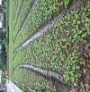 BÁN 90M ĐẤT ĐÀO XÁ -TRUNG CHÍNH -LƯƠNG TÀI -Ô TÔ CHẠY THÔNG -1.4 TỶ