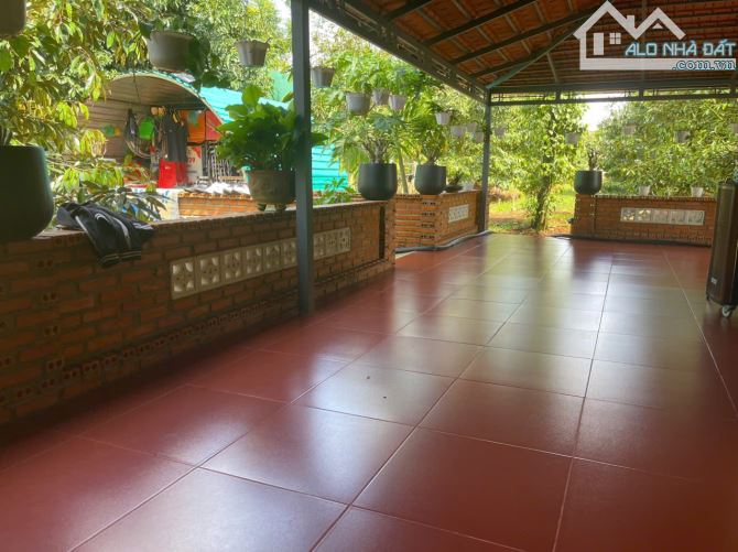 BÁN LÔ ĐẤT SÀO SẦU RIENG ĐẸP TẠI XÃ EATU ĐẦU TƯ HOẶC Ở NGHỈ DƯỠNG ĐỀU TUYỆT VỜI