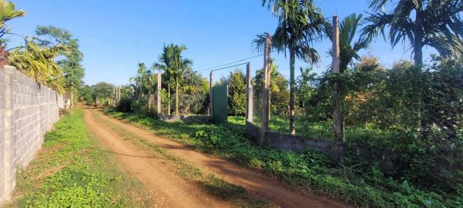 SIÊU RẺ - BÁN 2 SÀO XÃ HOÀ  THUẬN ĐẤT ĐẸP, MẶT TIỀN RỘNG 20M