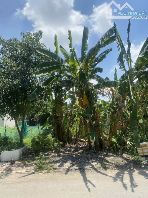 💎 ĐẤT ĐẸP GIÁ TỐT – LONG TRƯỜNG – THỦ ĐỨC 💎 	•	Diện tích: 80m² 	•	Giá: 4 tỷ 1 	•	Vị trí: