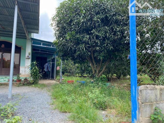 Bán đất 560m2 sổ riêng thổ cư đường ô tô (Xã Thạnh Phú) chỉ 3,5 tỉ
