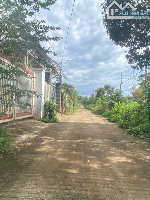 ĐẤT CAO THÀNH YWANG GIÁ SIÊU RẺ