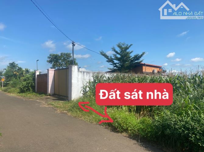 ĐẤT MẶT ĐƯỜNG SỐ 2 - THÔN 8 - P.BMT