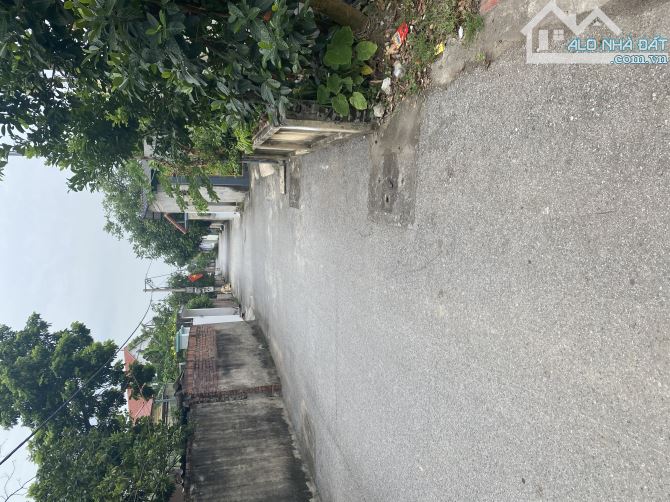 🏡 BÁN ĐẤT– GIÁ TỐT – THÔN CHÈ, NINH XÁ, THUẬN THÀNH, BẮC NINH 🏡