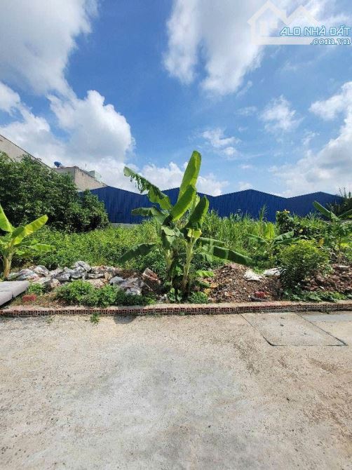 ĐẤT THỔ CƯ đường THẠNH XUÂN 37 , phường THẠNH XUÂN, Q12, 100m2 (4mx25m) Đường 5m 💵 3,4Tỷ