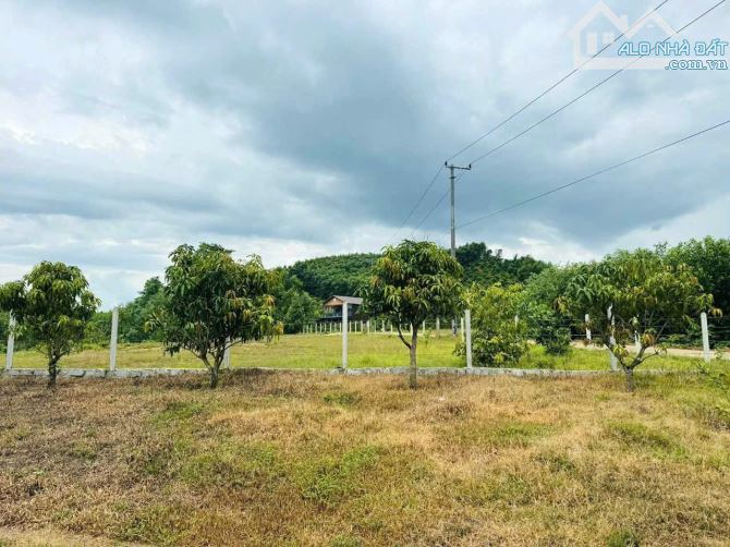 Bán Vườn Khánh Đông - Khánh Vĩnh, Khánh Hòa FULL ONT Giá 2Ty850