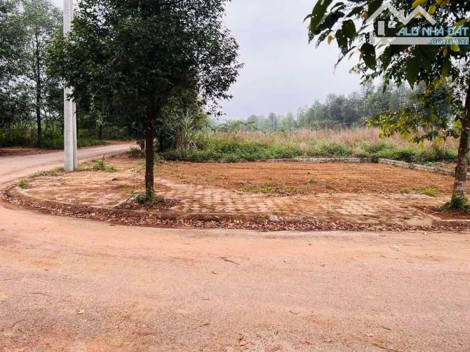 Bán Đất Lô Góc 2 Mặt Tiền – View Hồ Điều Hoà, Đại Học Quốc Gia Hà Nội