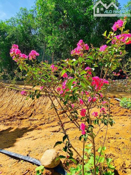 Bán đất View Sông Truồi thơ mộng Xã Lộc Hoà,Huyện Phú Lộc,TP Huế