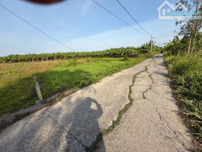 ✅ Bán 1000m2 đất ( 318m2 thổ + 682m2 lúa ) đường oto thuộc Ấp 4 , Hiệp Thạnh , Châu Thành.