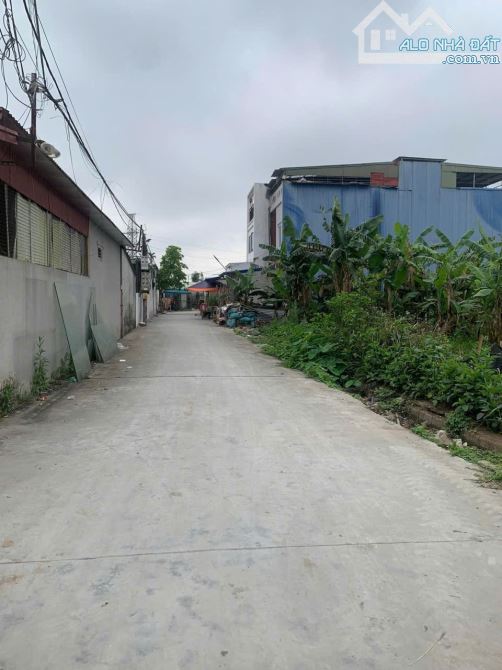 Bán đất phân lô tại An Đồng 100m2 đường 5m 2,25 tỷ