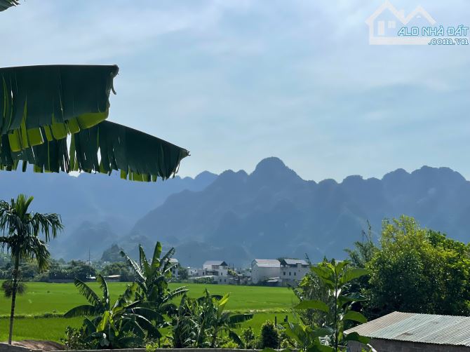 ôi trời ko xem quá tiếc, 1000m cực đẹp giá cực rẻ ngay suối khoáng TT Bo Kim Bôi Hòa Bình