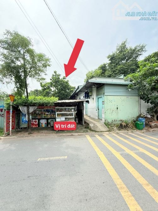 Bán Đất Mặt tiền Nhựa thông buôn bán KDC tứ Hải Dĩ an Bình dương 4 tỷ 350 triệu