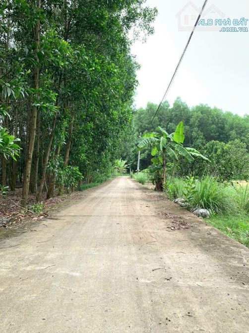 D219 🆘 Bán gấp 9,5 sào xã Tân An - Vĩnh Cửu. 👉 Cách đường Cộ Cây Xoài 300m