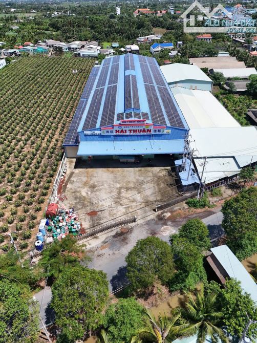 ✅ Bán xưởng lớn 6134m2 đất ( TMD ) mặt tiền đường Nguyễn Thông thuộc xã Phú Ngãi Trị