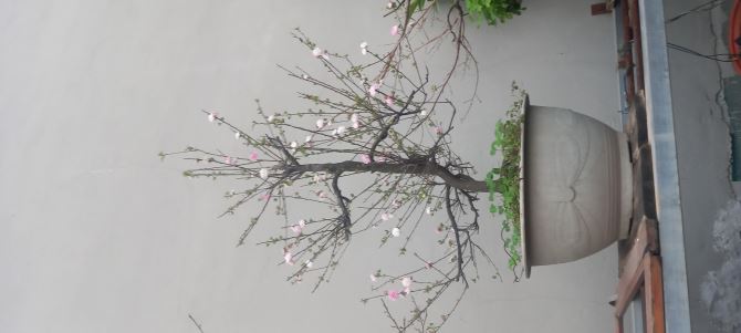 Cho thuê văn phòng Ngõ 1295 giải phóng 45m 2 4 tầng ô tô đỗ cửa