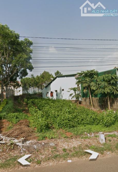 NGỘP GIÁ SỐC! Bán đất mặt tiền Lý Thái Tổ Dambri Bảo Lộc. NGANG 10.5m