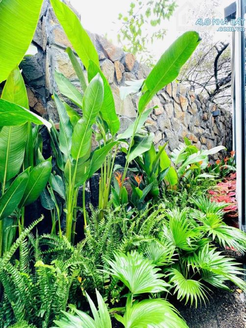 BÁN NHÀ 2 TẦNG – KIỆT BÀU HẠT 1, THANH KHÊ, ĐÀ NẴNG - 10