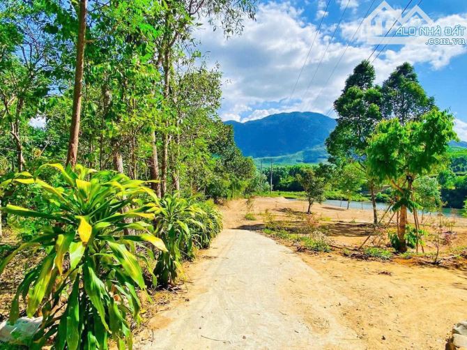 Bán đất View Sông Truồi thơ mộng Xã Lộc Hoà,Huyện Phú Lộc,TP Huế - 10