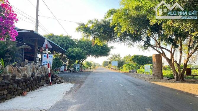 Bán đất view trực diện hồ Lồ Ô - Đất Đỏ 1000m² thổ cư 200m² mặt tiền 20m giá 3,9 triệu/m2 - 3