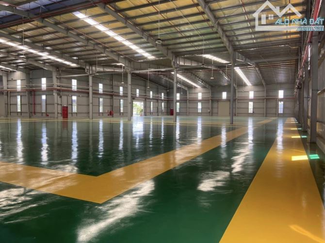 Cho thuê xưởng gần KCN Vsip 1, KCN Đồng An 1, Thuận An Bình Dương 5000, 10.000m2, 22.000m2 - 1