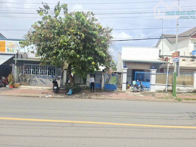 Đất đẹp mặt tiền đường Bình Thung gần làng đại học quốc gia Tphcm và BigC Go Dĩ An - 1