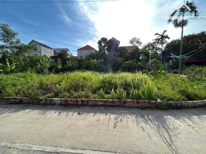 Bán đất Phú Hữu,Thanh Lâm,Mê Linh,Hà Nội,dt 79m đường oto thông,gần VĐ 4,gần HUD Mê Linh - 1