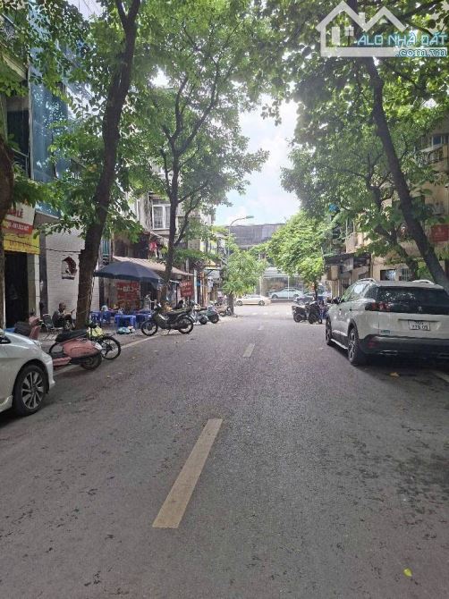 Mặt phố siêu hiếm đỗ hành bán 141M đất hai bà trưng - 1