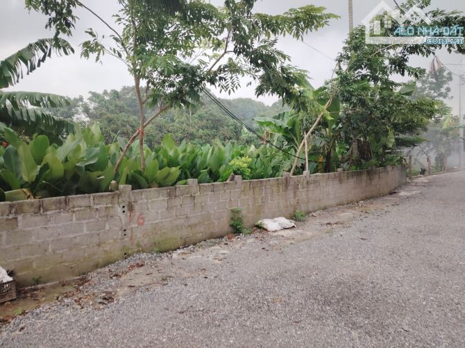Đất đô thị P Hồng Châu, 110m2 full thổ cư, Mt 10m, 1.85 tỷ. - 1